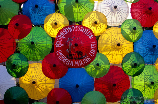 Parasol display at the Bo Sang parasol factory