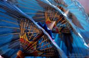 Travel photography:Finished blue parasols at the Bo Sang parasol factory, Thailand