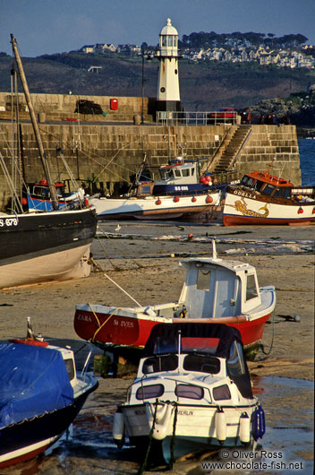 Fishing harbour and lighthouse in Cornwall