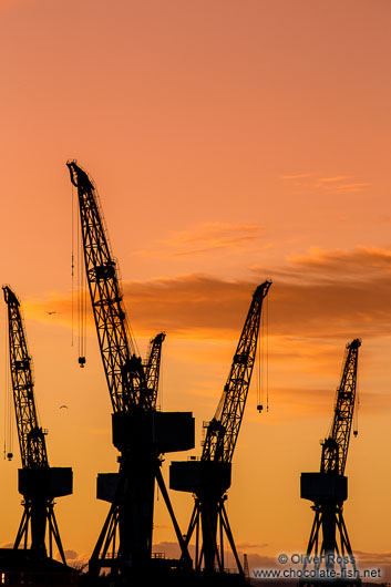 Glasgow Dock Cranes at sunset