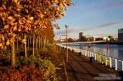 Travel photography:Glasgow River Clyde with trees in autumn colour, United Kingdom