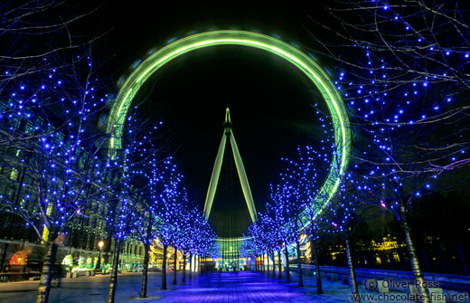 The London Eye (Millennium Wheel) by night