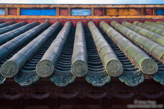 Hue Citadel roof detail 