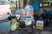 Travel photography:Goldfish on wheels in Hue, Vietnam
