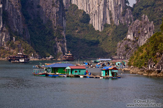 Floating houses in Halong Bay 