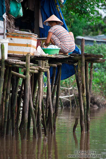 Woman on her stilt house near Can Tho 