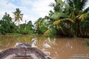 Travel photography:Exploring a Mekong tributary near Can Tho , Vietnam