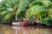 Travel photography:Boat on a Mekong tributary near Can Tho , Vietnam
