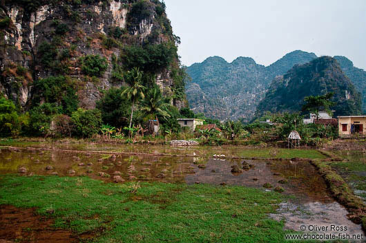 Characteristic karst landscape near Tam Coc