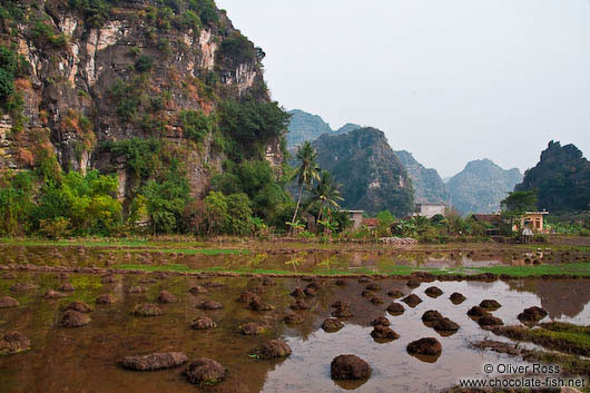 Tam Coc landscape 