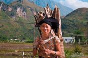 Travel photography:Hmong woman with fire wood near Sapa, Vietnam