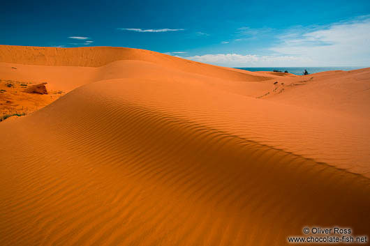 Red Sand Dunes in Vietnam 