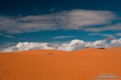Travel photography:People walking through the giant red sand dunes near Mui Ne , Vietnam