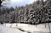 Travel photography:Winter landscape, Germany
