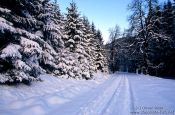 Travel photography:Path through wintery landscape, Germany